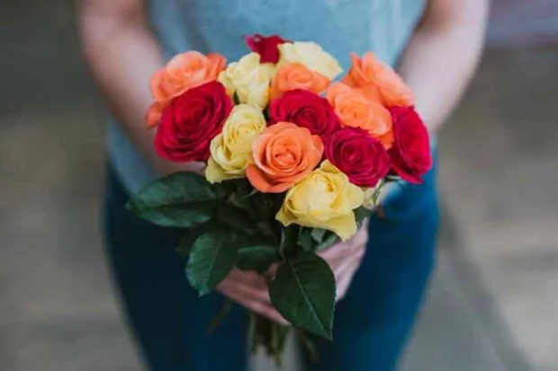 20 Flores Com As Simbologias Mais Especiais