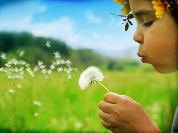 20 Flores Com As Simbologias Mais Especiais