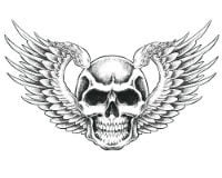 Caveira Com Asas