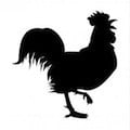 Galo