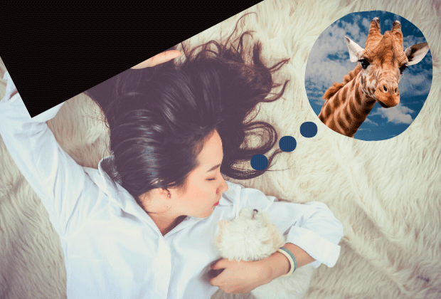 Girafa Um Simbolo De Intuicao E Elegancia