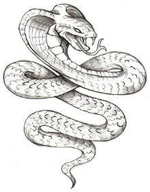 Serpente