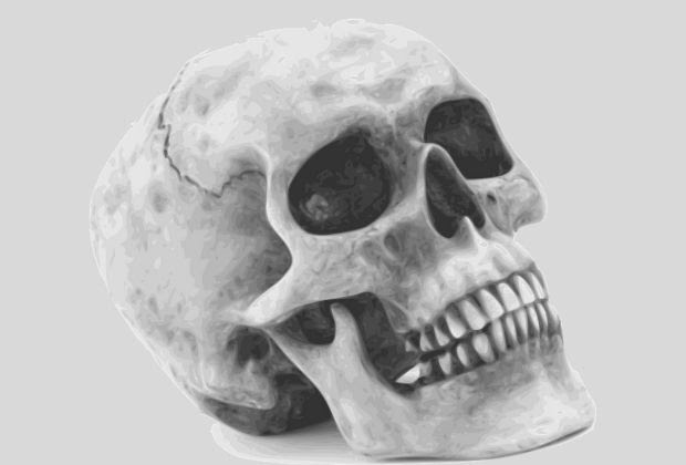 Significado Da Caveira