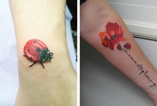 Significado Da Joaninha