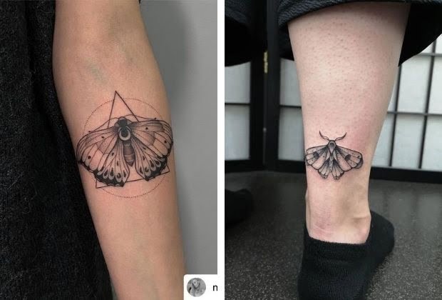 Significado Da Mariposa