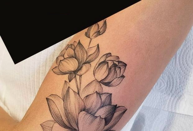 Significado Da Tatuagem Da Flor De Lotus