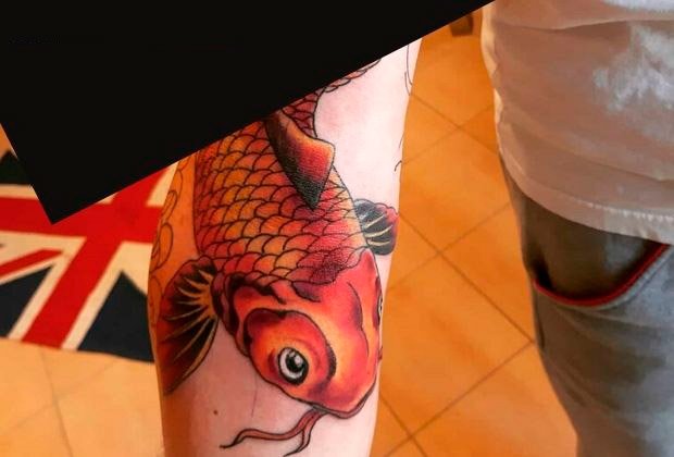 Significado Da Tatuagem De Carpa Com Imagens Para Voce Se Inspirar