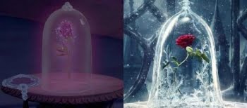 Significado De Rosas Vermelhas