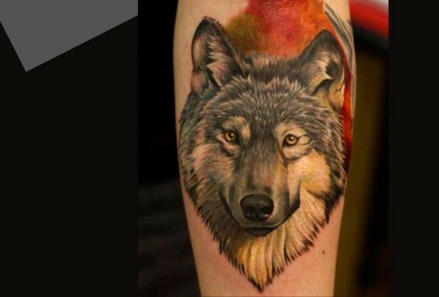 Tatuagem De Lobo Significados E Locais Do Corpo Para Tatuar