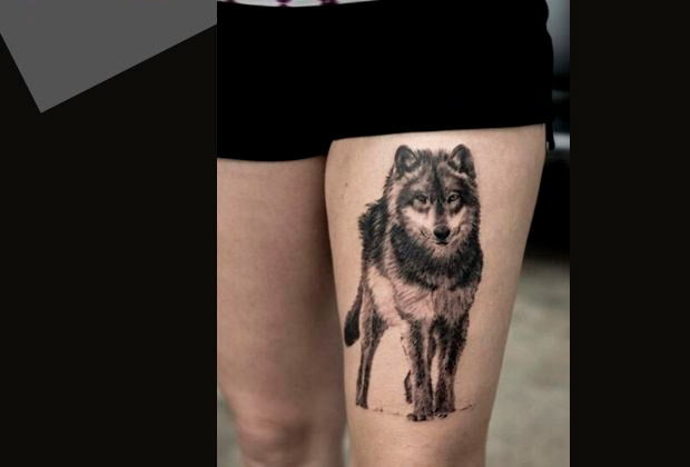 Tatuagem De Lobo Significados E Locais Do Corpo Para Tatuar