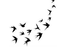 Tatuagem Feminina Na Costela