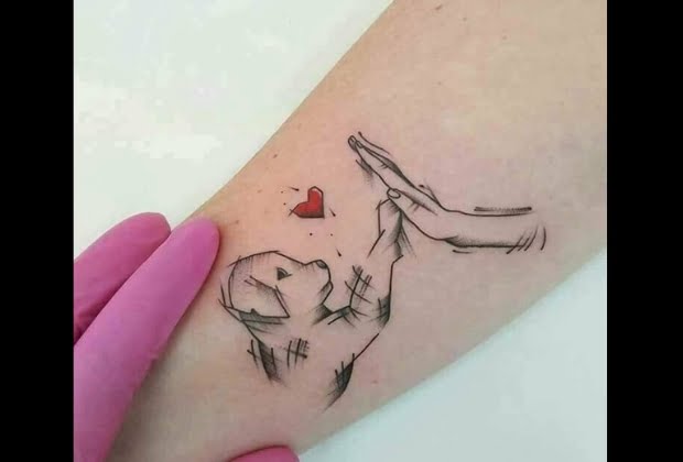Tatuagens De Animais 16 Sugestoes E Suas Simbologias