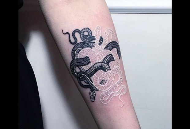 Tatuagens De Animais 16 Sugestoes E Suas Simbologias